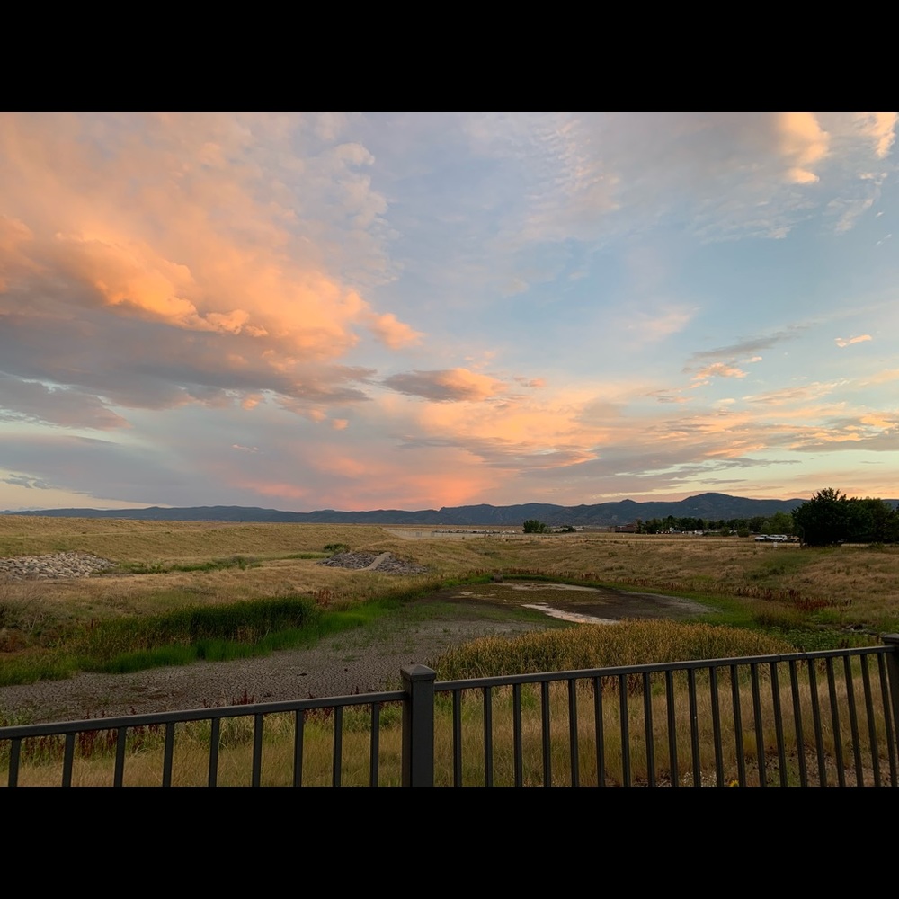 Meet your Posher, Liz